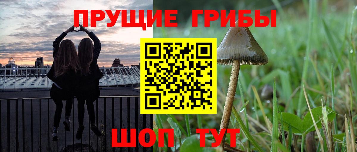 Галлюциногенные грибы MAGIC MUSHROOMS  Вход с VPN  Саранск 