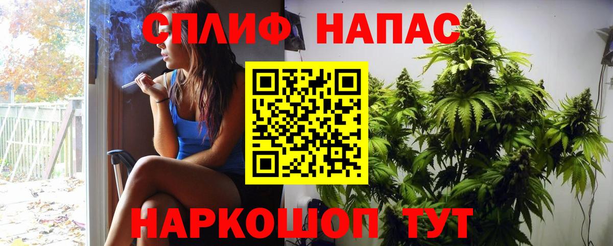 Шишки марихуана план Саранск